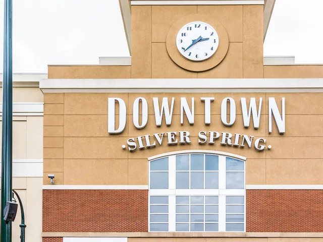 Silver Spring skyline